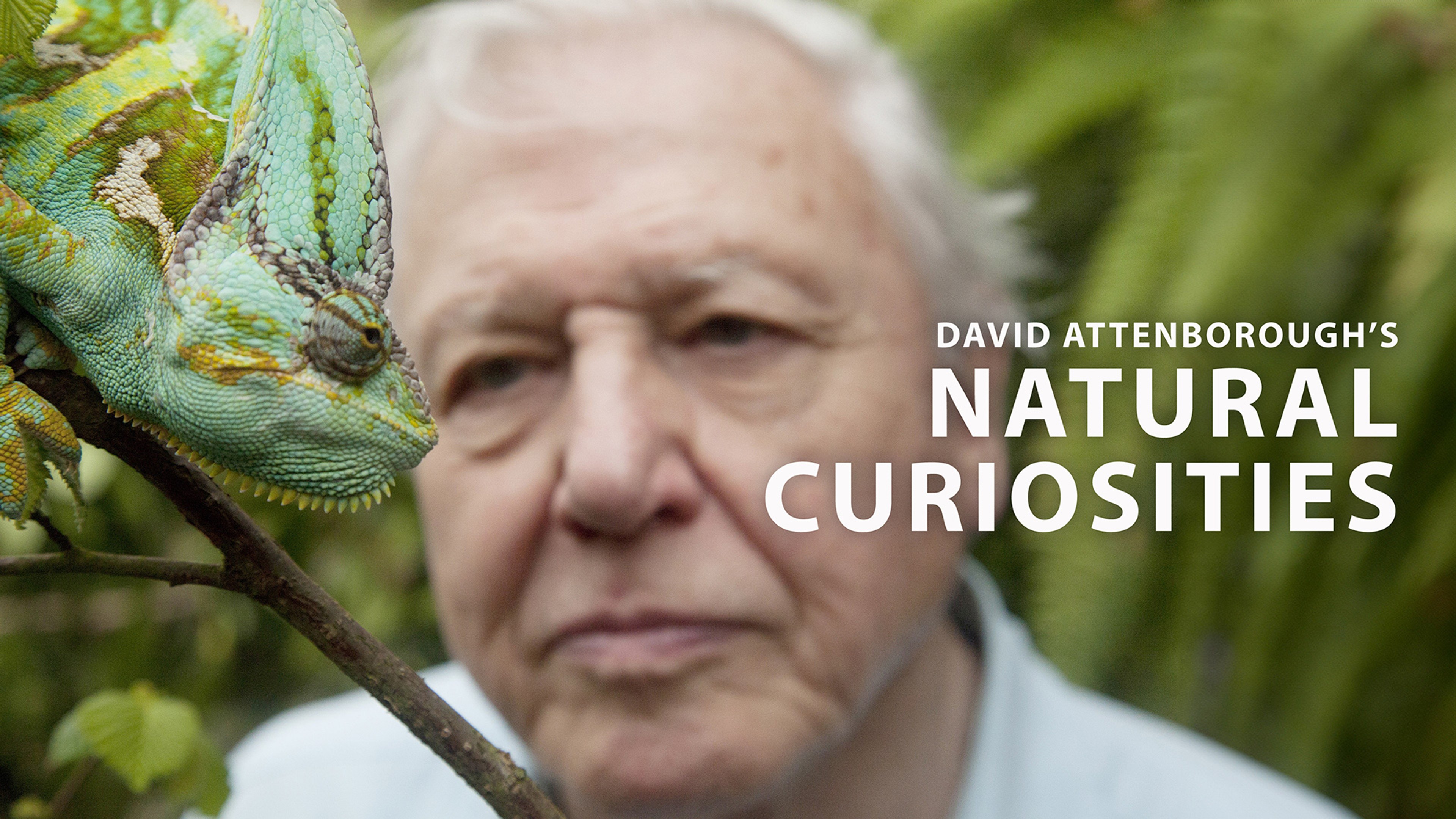David Attenborough's Natural Curiosities