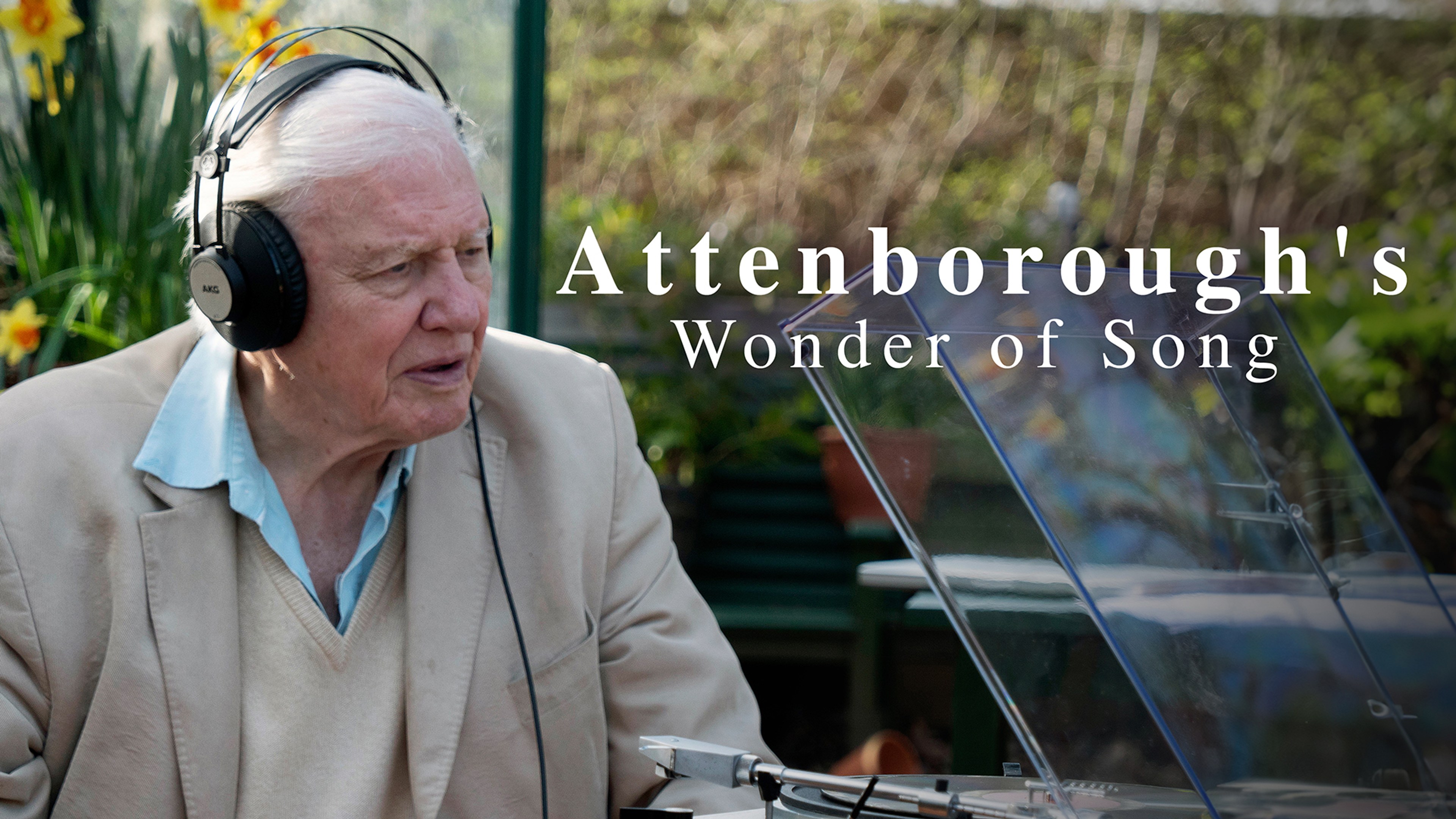 Attenborough's Wonder of Song