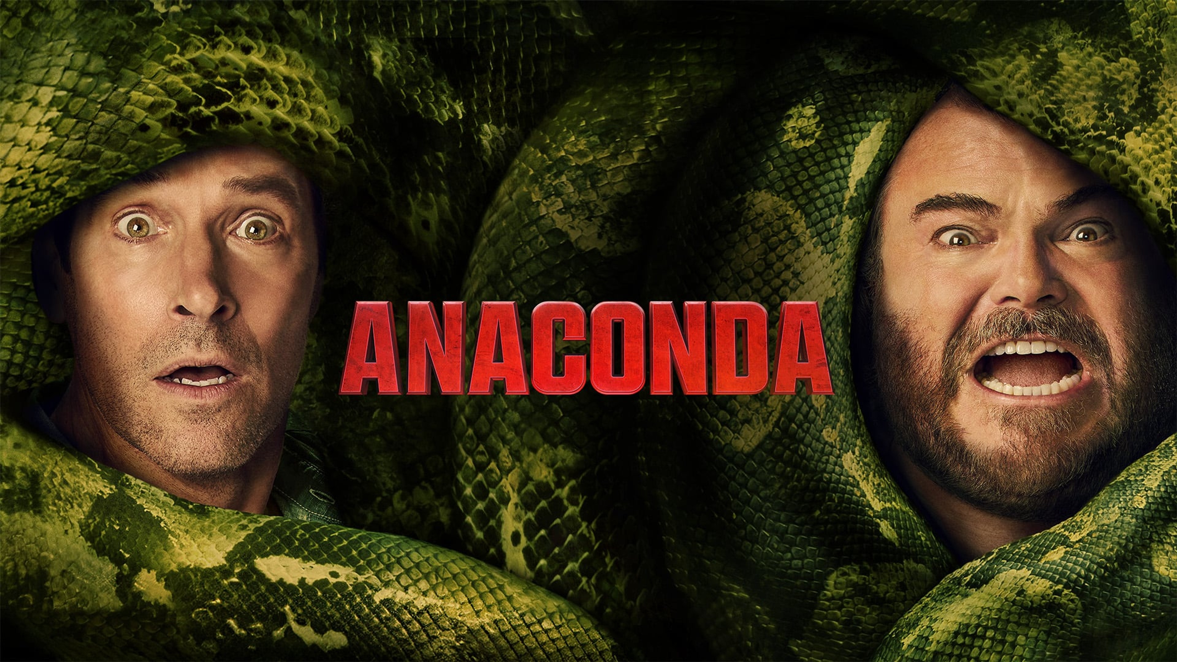 Anaconda