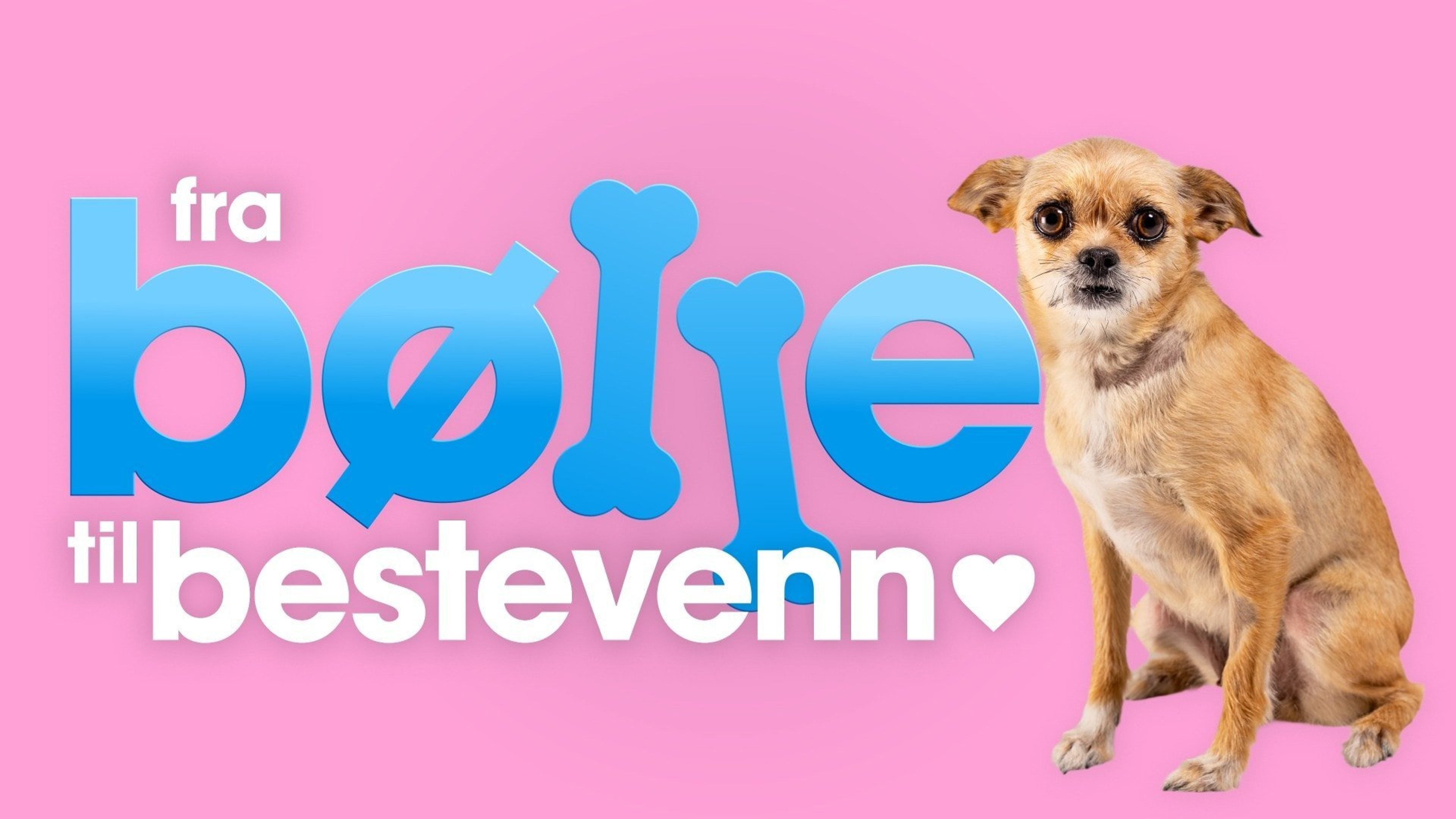 Fra bølle til bestevenn