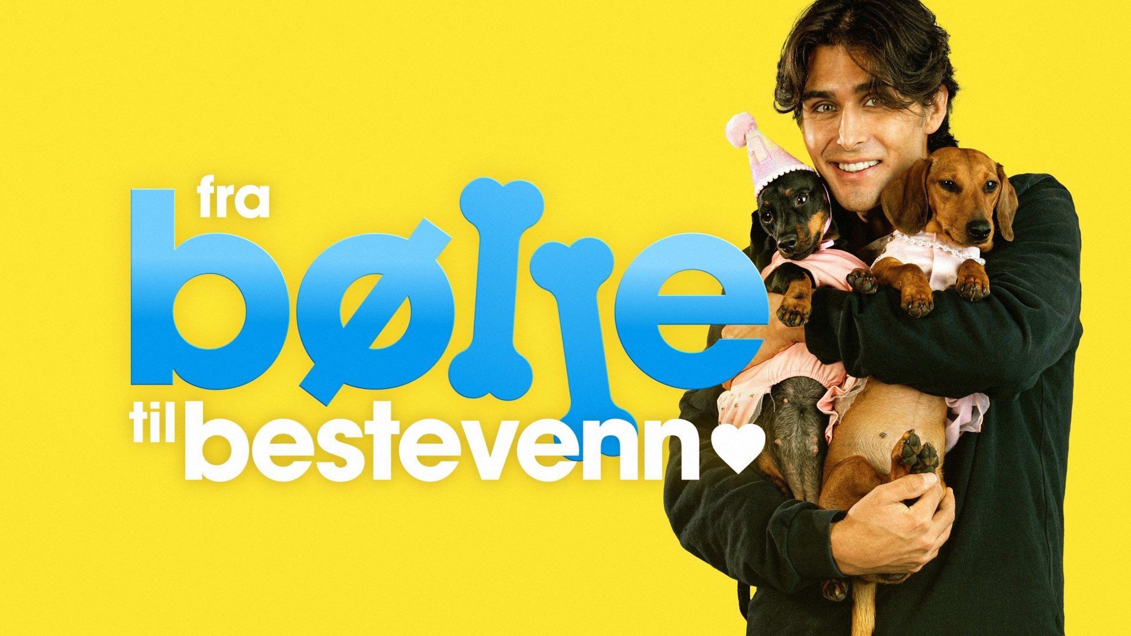 Fra bølle til bestevenn