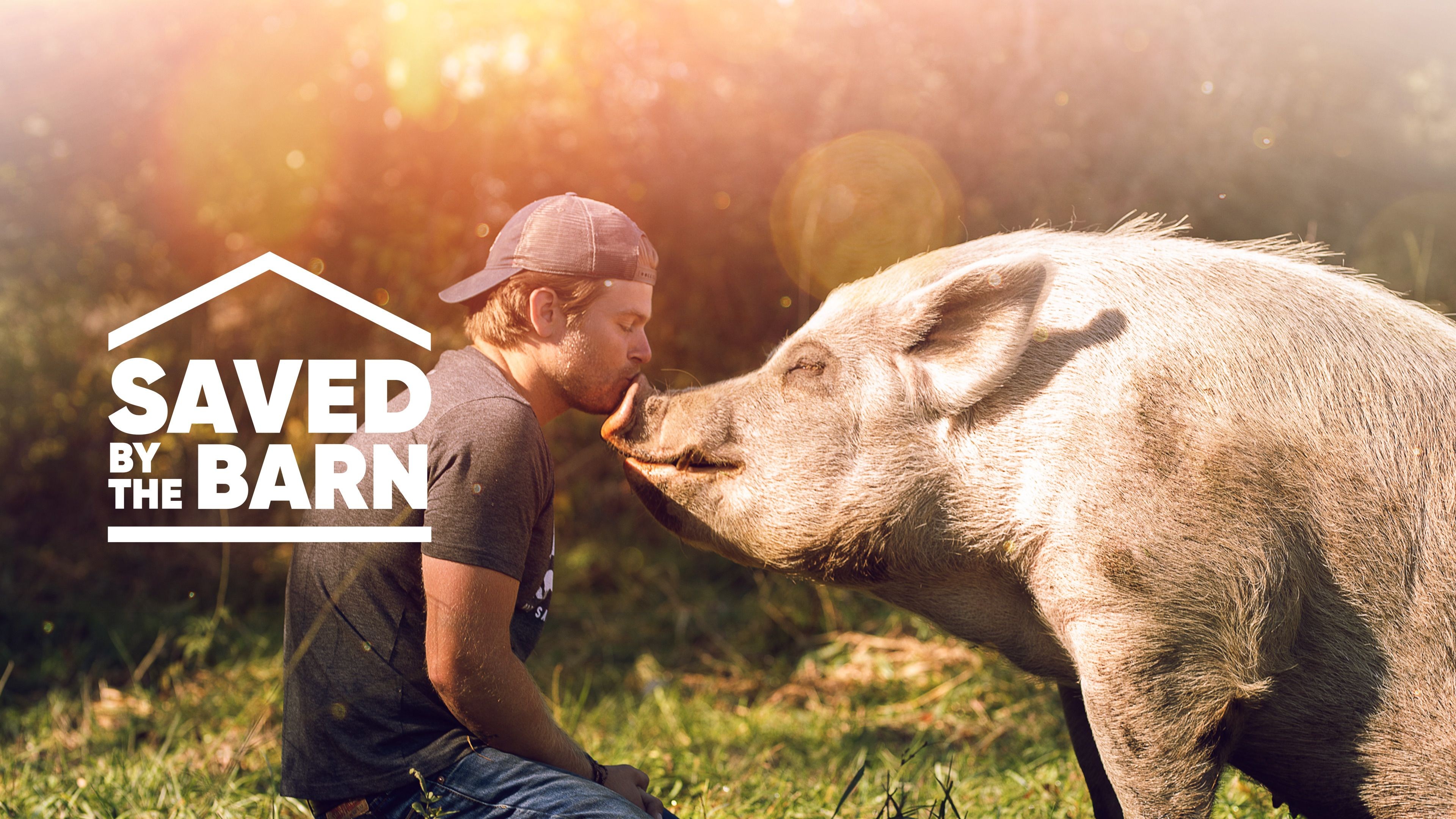 Saved By The Barn