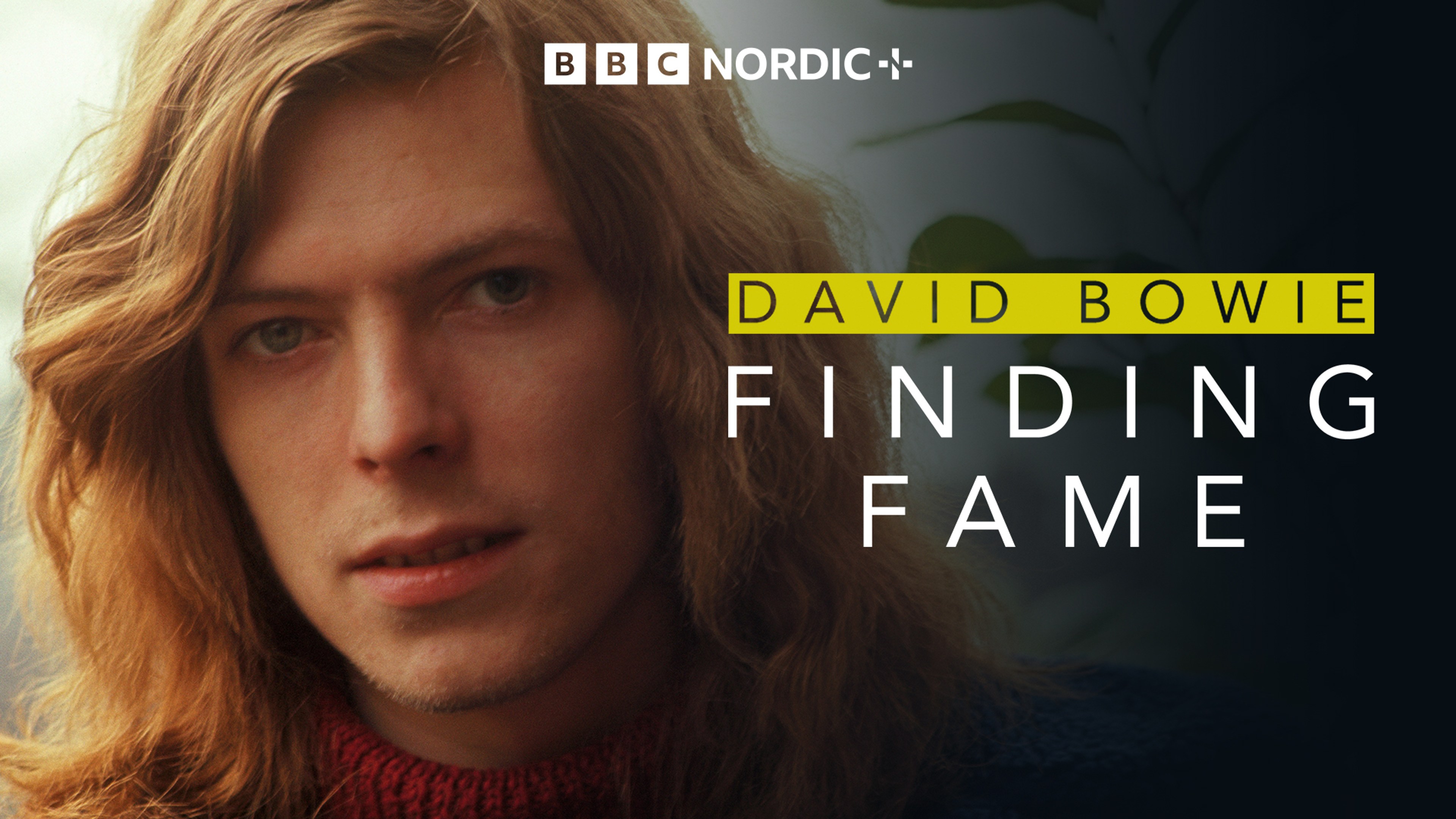 David Bowie: Finding Fame