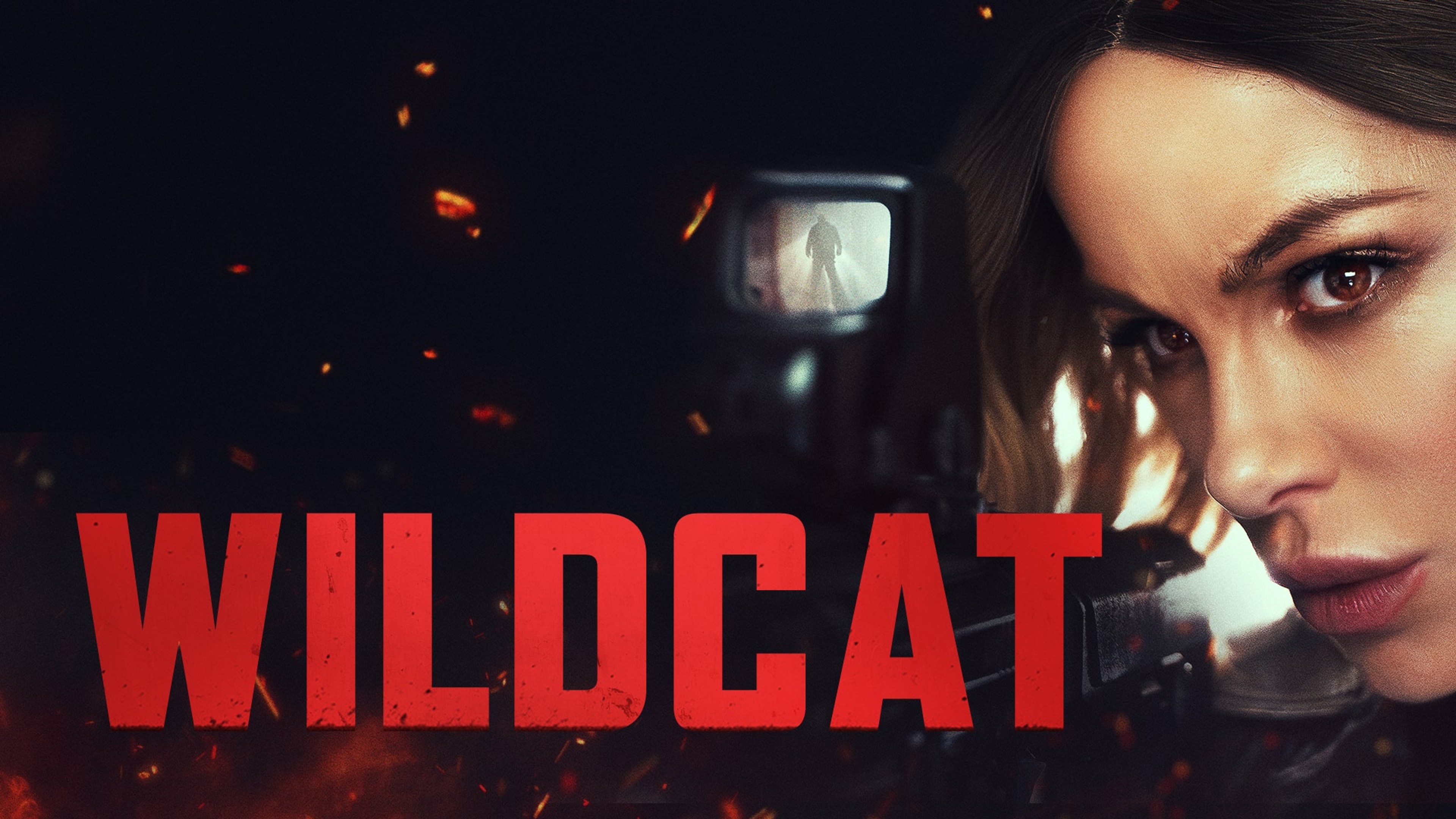 Wildcat