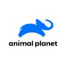 Animal Planet logo